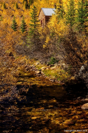 Cripple Creek Fall Color