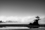 Oregon Coast Fog B&W