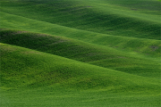 The Palouse Eastern Washington Rolling Hills