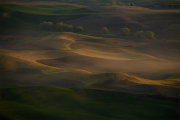 The Palouse Eastern Washington