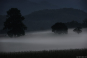 The Smokies