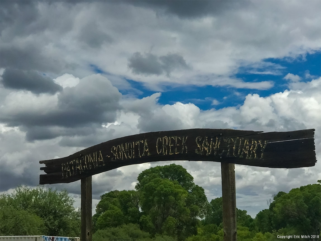 Patagonia-Sonoita Creek Preserve