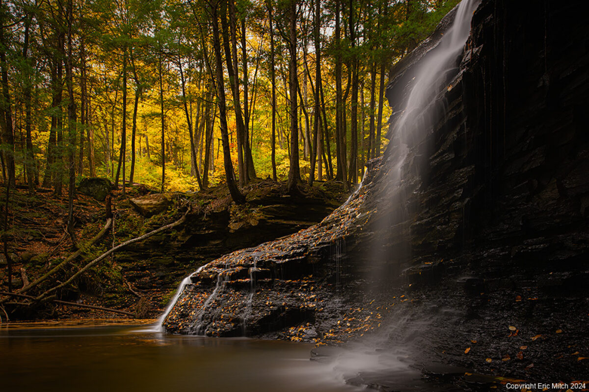 Looking Forward to Pennsylvania Fall Color